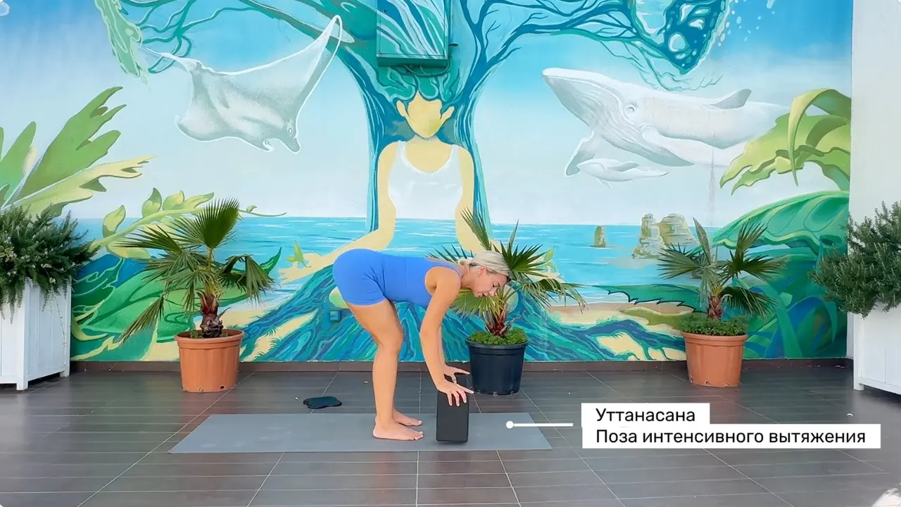Уттанасана с согнутыми коленями и ладонями на блоках